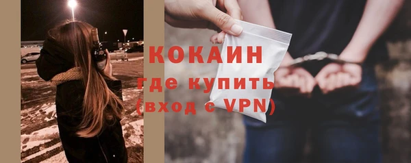 дмт Богородицк