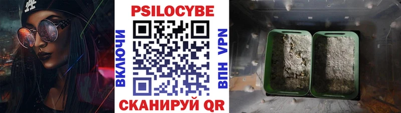 darknet состав Беломорск Галлюциногенные грибы MAGIC MUSHROOMS